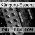 Känguru-Essenz new03